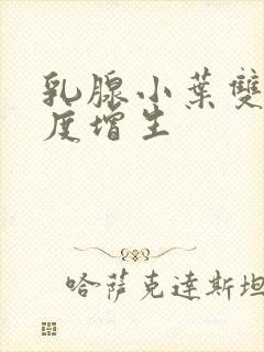 乳腺小叶双侧轻度增生