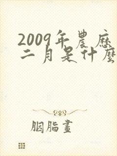 2009年农历二月是什么命