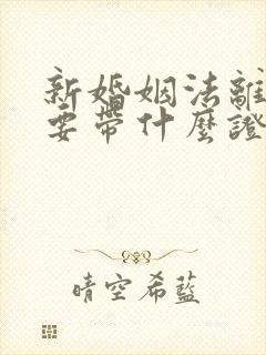 新婚姻法离婚需要带什么证件