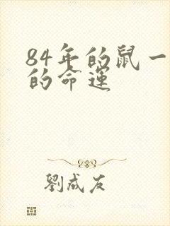 84年的鼠一生的命运