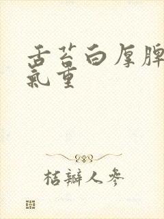 舌苔白厚脾虚湿气重