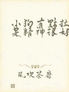 小狗有点拉稀但是精神很好怎么办