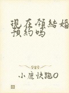 现在领结婚证要预约吗