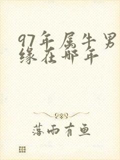 97年属牛男姻缘在哪年