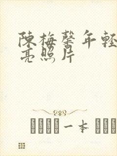 陈梅馨年轻时漂亮照片