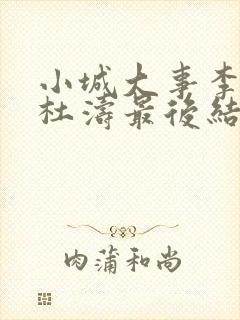 小城大事李秋萍杜涛最后结局封面