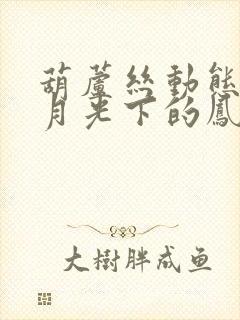 葫芦丝动态曲谱月光下的凤尾竹