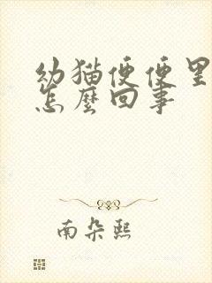 幼猫便便里有血怎么回事