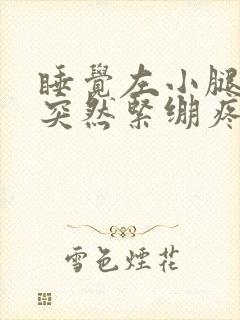 睡觉左小腿肌肉突然紧绷疼痛