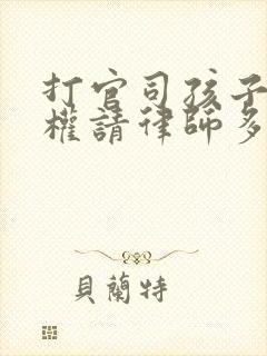 打官司孩子抚养权请律师多少钱