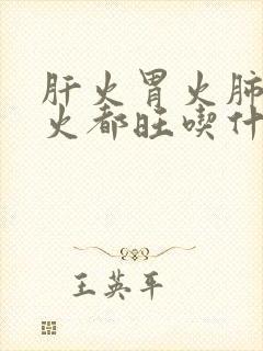 肝火胃火肺火心火都旺吃什么药