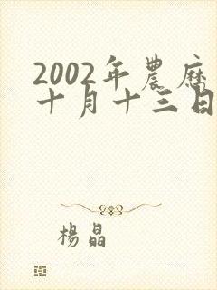 2002年农历十月十三日出生的男孩的命运