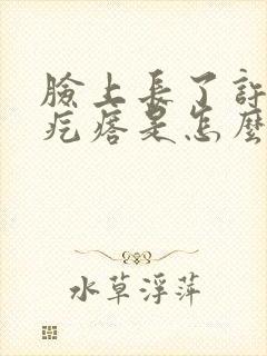 脸上长了许多小疙瘩是怎么回事