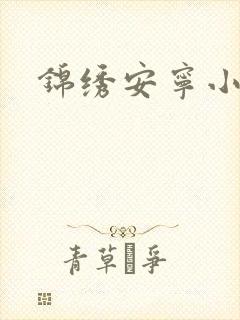 锦绣安宁小说封面