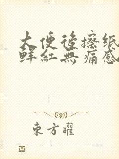 大便后擦纸有血鲜红无痛感封面