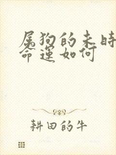 属狗的未时出生命运如何