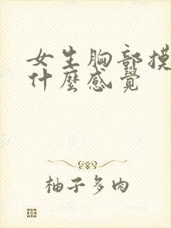 女生胸部摸起来什么感觉