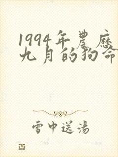 1994年农历九月的狗命运如何