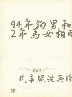 94年狗男和02年马女相配婚姻如何