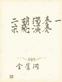 二胡独奏一点红宋飞演奏