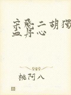 宋飞二胡独奏铁血丹心封面