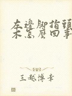 左边脚指头发麻木怎么回事封面