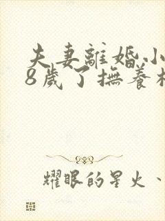 夫妻离婚小孩18岁了抚养权怎么判封面