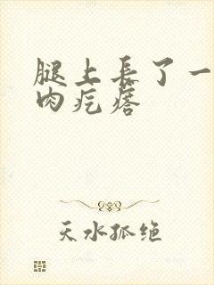 腿上长了一个小肉疙瘩