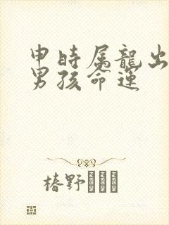 申时属龙出生的男孩命运