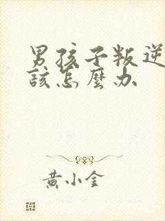 男孩子叛逆父母该怎么办