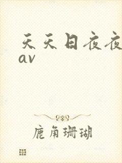 天天日夜夜操,av
