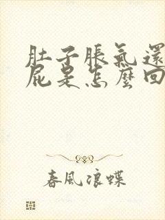 肚子胀气还爱放屁是怎么回事