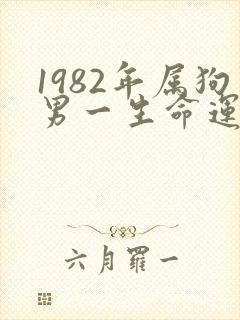 1982年属狗男一生命运怎么样封面