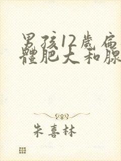 男孩12岁扁桃体肥大和腺样体肥大