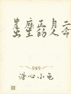 农历正月二十五出生的人命运