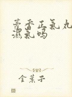 藿香正气丸能除湿气吗