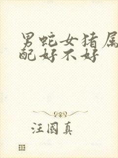 男蛇女猪属相婚配好不好