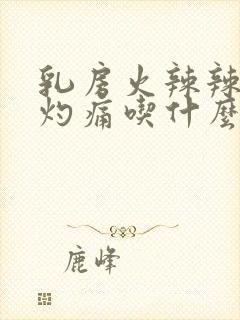 乳房火辣辣的烧灼痛吃什么药封面