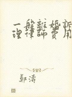 一般离婚诉讼代理律师费用封面