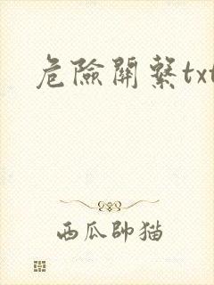 危险关系txt封面