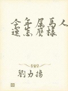 今年属马人的财运怎么样