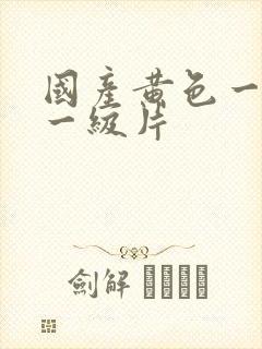 国产黄色一级片一级片