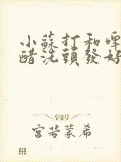 小苏打和啤酒白醋洗头发好吗