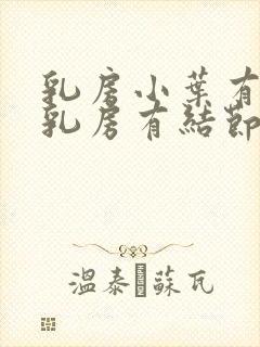 乳房小叶有增生乳房有结节