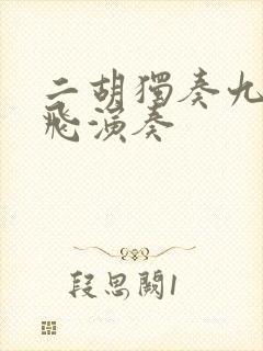 二胡独奏九儿宋飞演奏封面