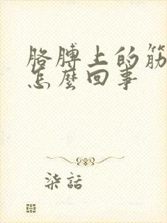 胳膊上的筋疼是怎么回事