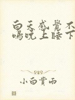 白天感觉不到耳鸣晚上睡下才有