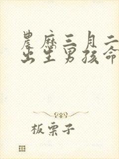 农历三月二十一出生男孩命运好吗?