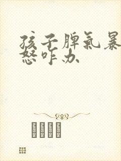 孩子脾气暴躁易怒咋办封面