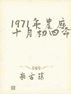 1971年农历十月初四命运如何